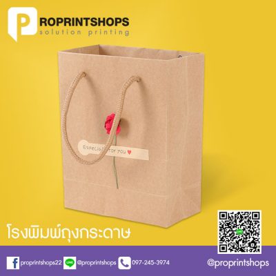 ผลิตถุงกระดาษ สีน้ำตาล Brown paper bags