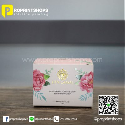 รับทำpackaging