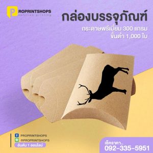โรงพิมพ์แถวบางใหญ่