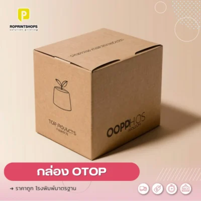 กล่องบรรจุภัณฑ์สินค้า OTOP
